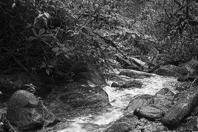 Photographic Print, , small