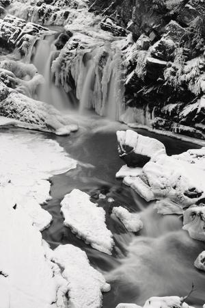 Photographic Print, , small