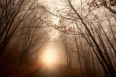 Photographic Print, , small