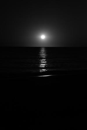 Photographic Print, , small