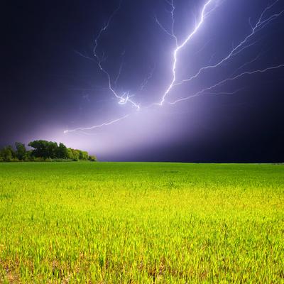 Photographic Print, , small