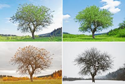 Photographic Print, , small