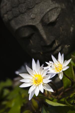Photographic Print, , small