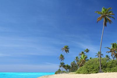 Photographic Print, , small