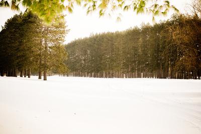 Photographic Print, , small
