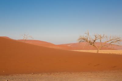 Photographic Print, , small