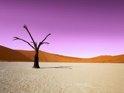 Photographic Print, , small