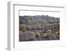 Mount Roraima Landscape (Intersection of Borders: Venezuela, Guyana, Brazil)-zanskar-Framed Photographic Print