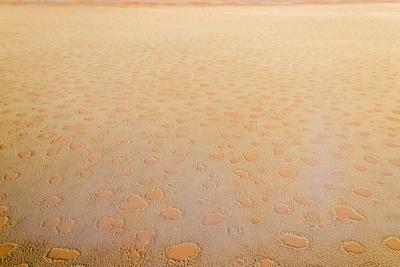 Photographic Print, , small