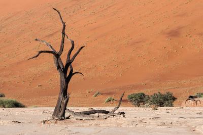 Photographic Print, , small