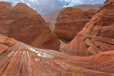 Photographic Print, , small