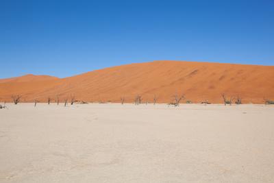 Photographic Print, , small