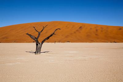 Photographic Print, , small