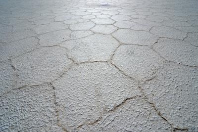 Photographic Print, , small