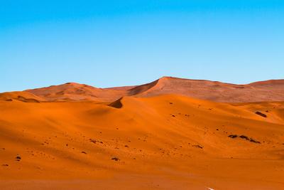 Photographic Print, , small