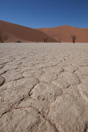 Photographic Print, , small