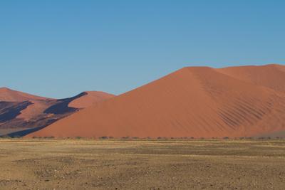 Photographic Print, , small