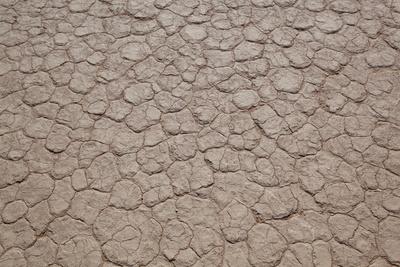 Photographic Print, , small