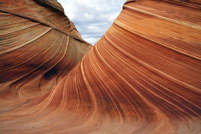 Photographic Print, , small