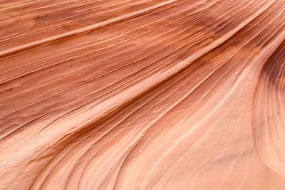 Photographic Print, , small
