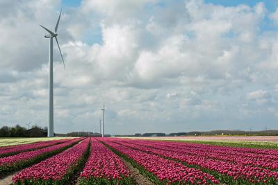 Photographic Print, , small