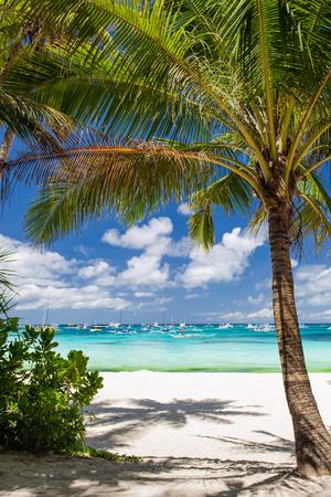 Photographic Print, , small