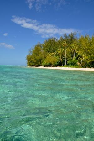 Photographic Print, , small