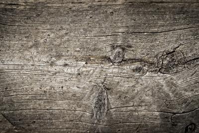 Photographic Print, , small