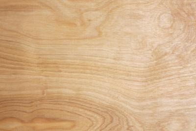 Photographic Print, , small