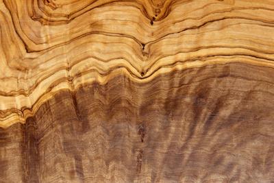 Photographic Print, , small