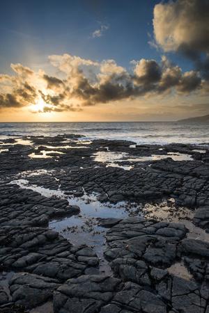 Photographic Print, , small