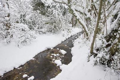 Photographic Print, , small