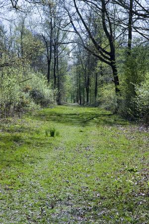 Photographic Print, , small