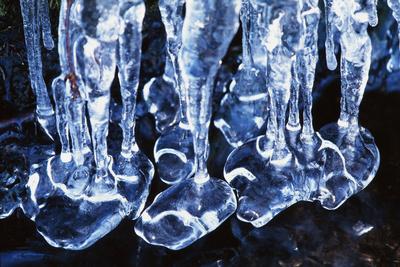 Photographic Print, , small