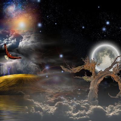 Photographic Print, , small