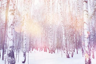 Photographic Print, , small