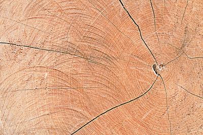 Photographic Print, , small