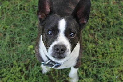 Photographic Print, , small