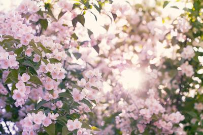 Photographic Print, , small
