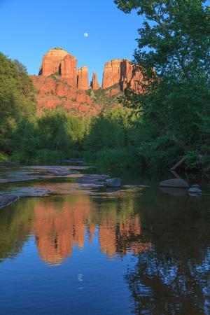 Photographic Print, , small