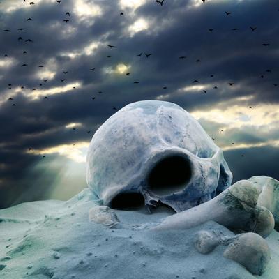 Photographic Print, , small
