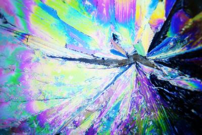 Photographic Print, , small