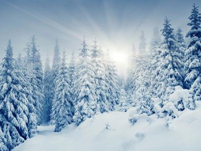 Photographic Print, , small