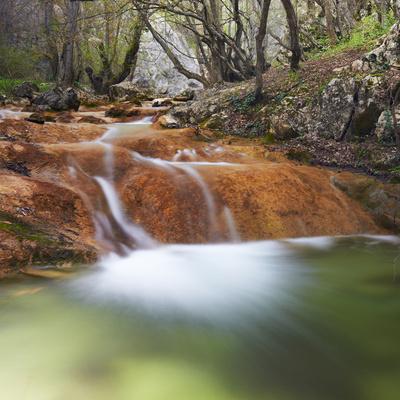 Photographic Print, , small