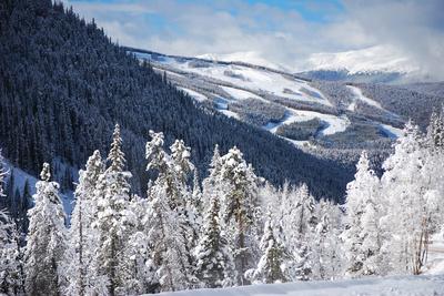 Photographic Print, , small