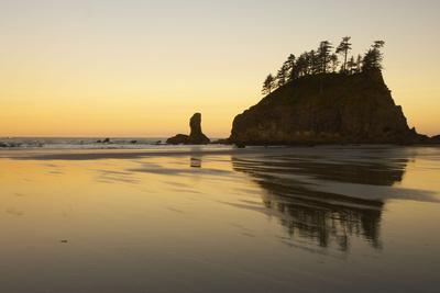 Photographic Print, , small