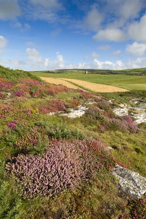 Photographic Print, , small