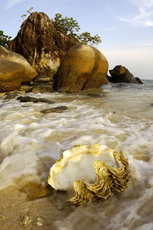 Photographic Print, , small