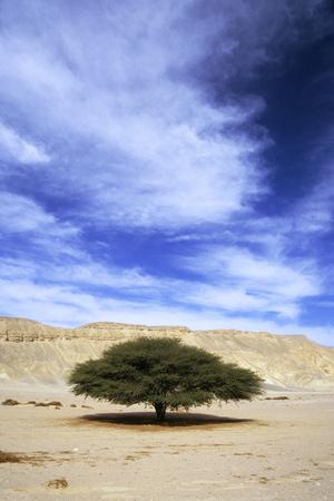 Photographic Print, , small