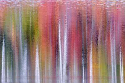 Photographic Print, , small